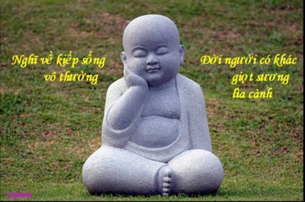 hoa tau binh an than va tam