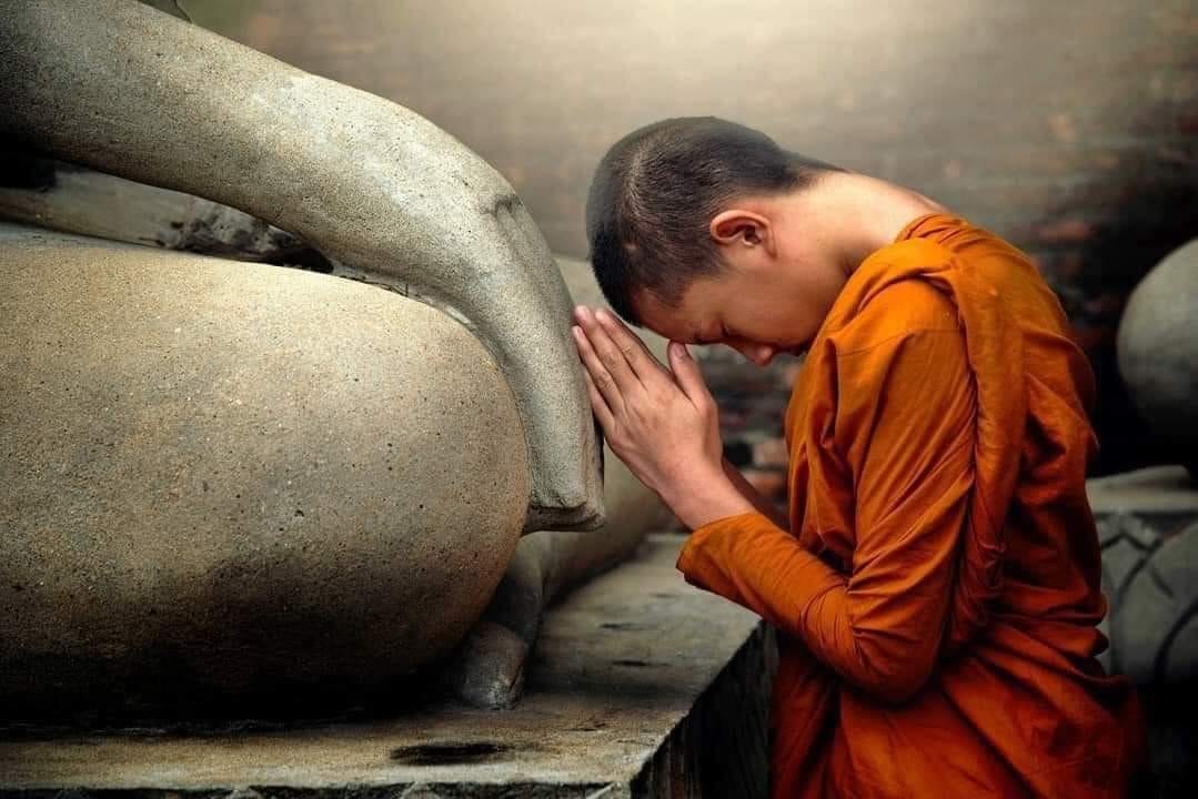  N&agrave;y con, h&atilde;y sống cho trọn vẹn một kiếp người  